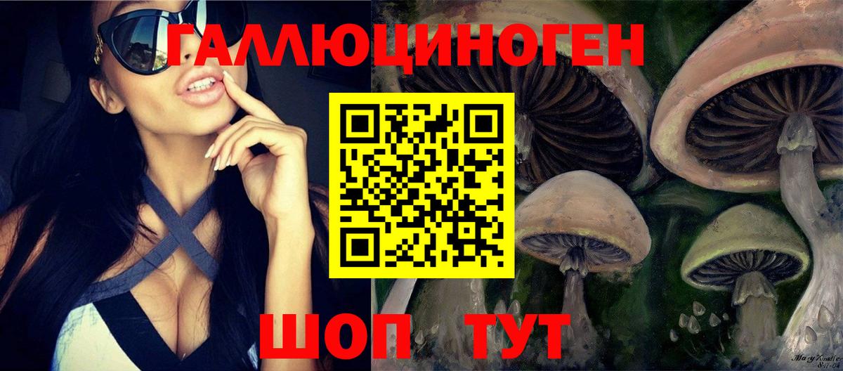 Галлюциногенные грибы мицелий  Вход с VPN  Йошкар-Ола  закладка  Псилоцибиновые грибы прущие грибы 